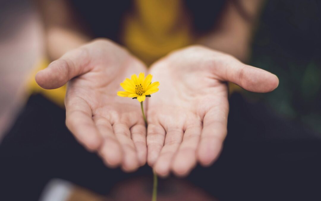 selective focus photography of woman holding yellow petaled flowers